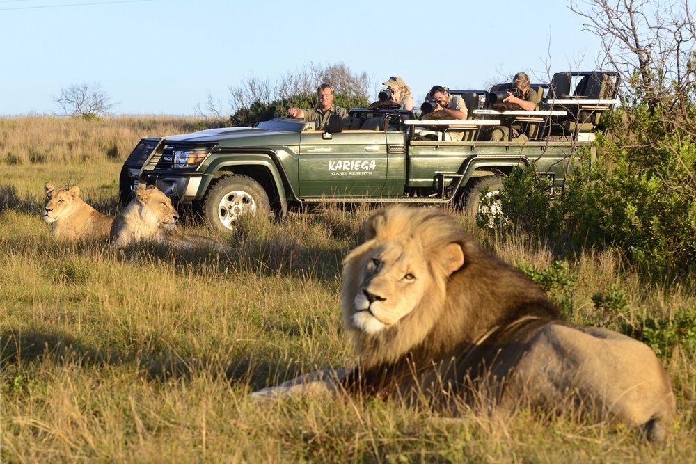 Kariega Game Reserve Settlers Drift أليكساندريا المظهر الخارجي الصورة