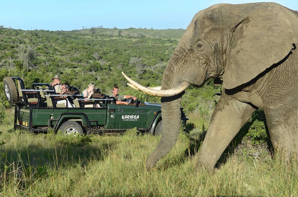 Kariega Game Reserve Settlers Drift أليكساندريا المظهر الخارجي الصورة