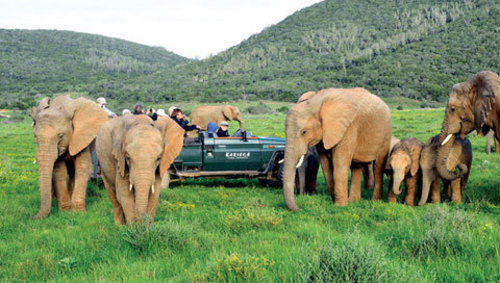Kariega Game Reserve Settlers Drift أليكساندريا المظهر الخارجي الصورة